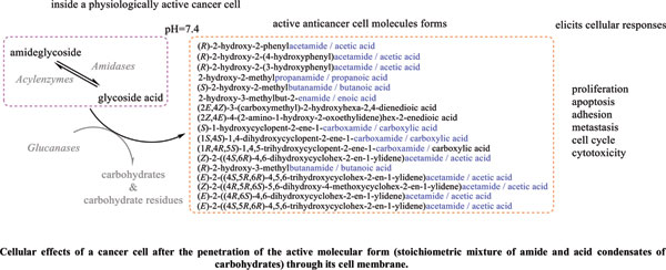 Theoretical Analysis of Anticancer Cellular Effects of Glycoside Amides - Tsanov | DOI: 10.2174/1871520621666210903122831